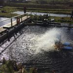 EcoAqua project