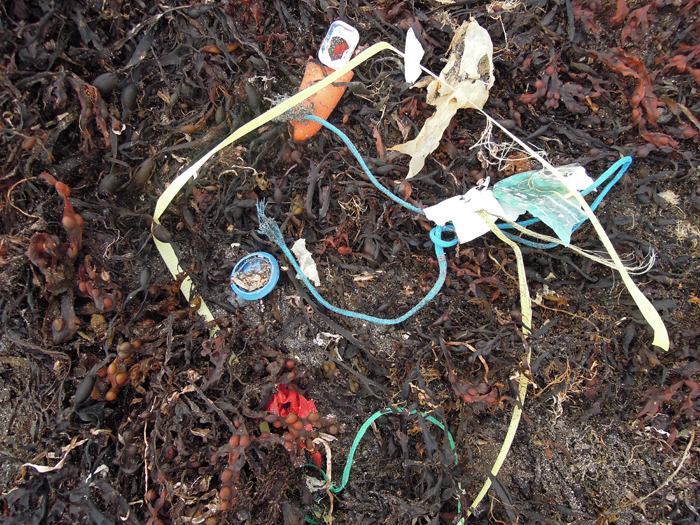 Microplastic marine debris Connolly TRACHT BEACH AUG17