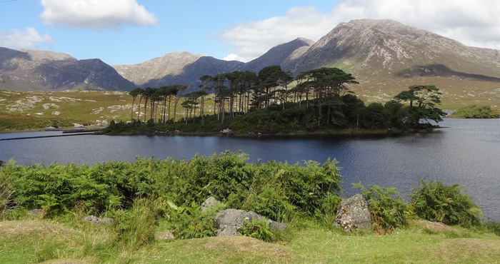 Lough Shindilla