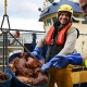 2018 BIM Seafood Awards